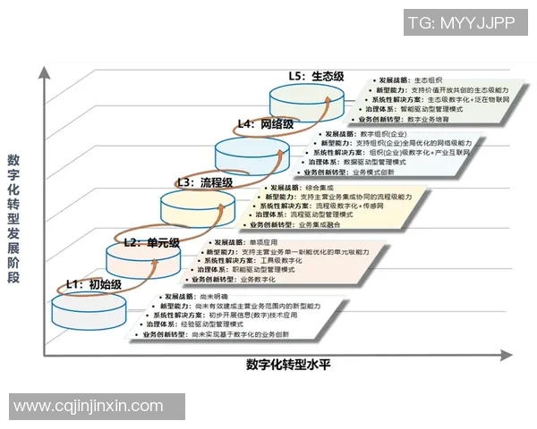 竞技体育的多维发展与社会影响探析：从竞技水平到全民健身的融合路径