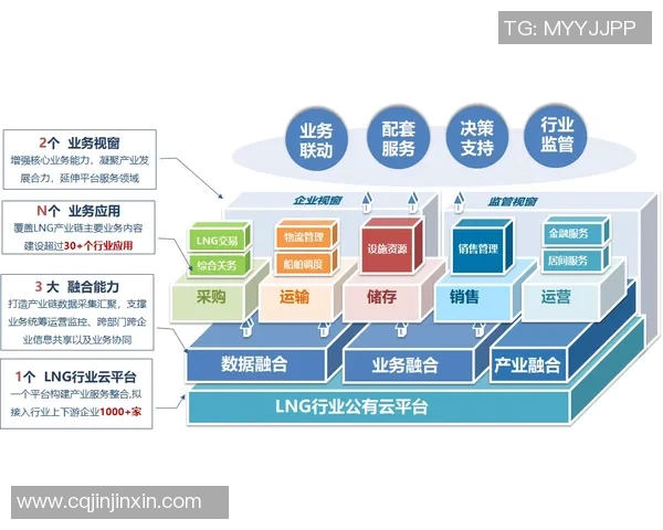 LNG反击策略深度分析：如何在竞争中逆风翻盘